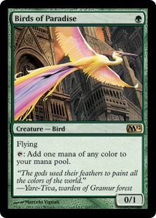 Birds of Paradise (Foil)