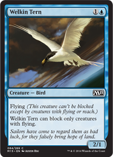 Welkin Tern (Foil)