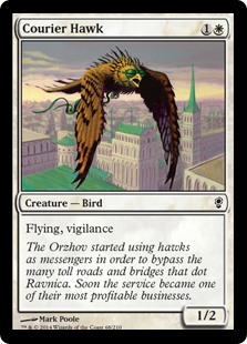 Courier Hawk