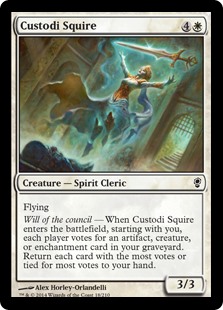 Custodi Squire