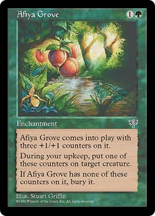 Afiya Grove Afiya Grove