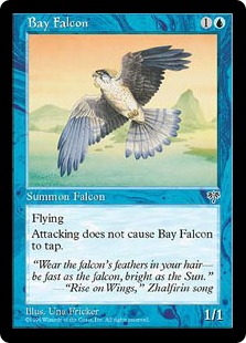 Bay Falcon