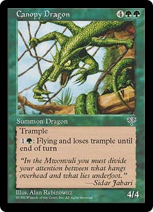 Canopy Dragon Canopy Dragon