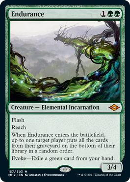 Endurance (Foil)