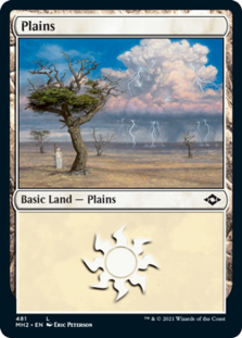 Plains (481) (Foil)