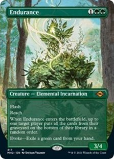 Endurance (Borderless) (Foil)