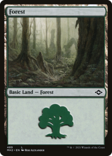 Forest (489) (Foil Etched) (Foil)
