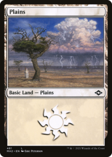 Plains (481) (Foil Etched)