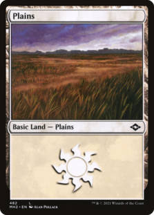 Plains (482) (Foil Etched)