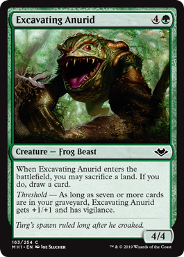 Excavating Anurid (Foil)