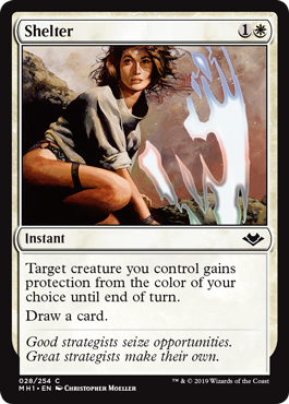 Shelter (Foil)