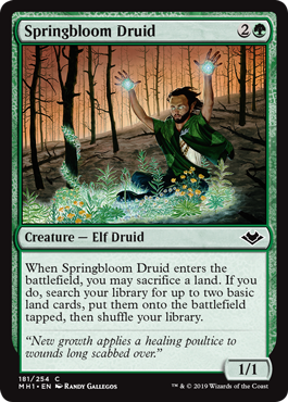 Springbloom Druid (Foil)