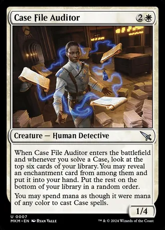 Case File Auditor (Foil)