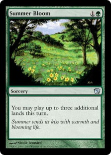 Summer Bloom