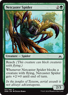 Netcaster Spider (Foil)