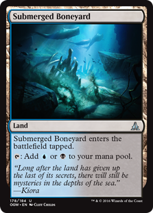 Submerged Boneyard (Foil)