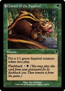 Chatter of the Squirrel Chatter of the Squirrel