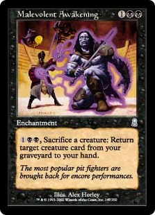 Malevolent Awakening Malevolent Awakening
