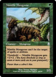Nimble Mongoose Nimble Mongoose