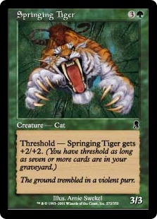 Springing Tiger Springing Tiger