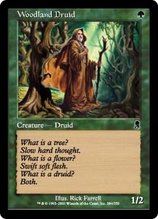 Woodland Druid