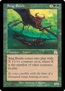 Stag Beetle