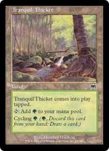 Tranquil Thicket