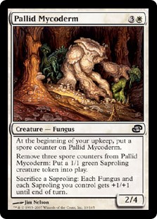 Pallid Mycoderm (Foil)