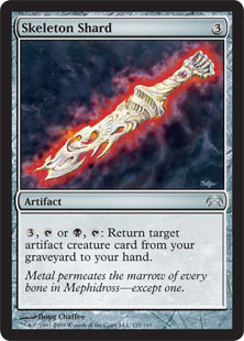 Skeleton Shard Skeleton Shard