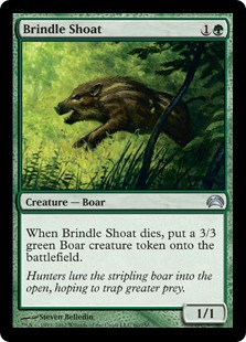 Brindle Shoat