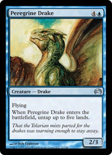 Peregrine Drake Peregrine Drake