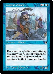 Coastal Wizard