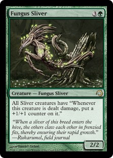 Fungus Sliver