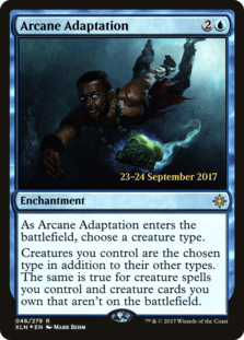 Arcane Adaptation