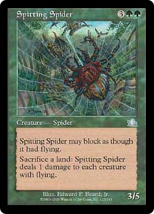 Spitting Spider
