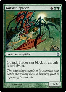 Goliath Spider