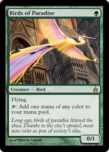 Birds of Paradise (Foil)