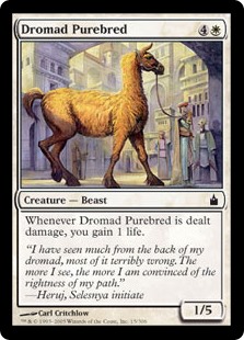 Dromad Purebred (Foil)