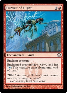 Pursuit of Flight (Foil)