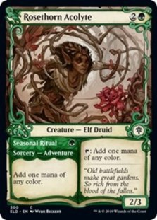 Rosethorn Acolyte // Seasonal Ritual (Showcase Foil)