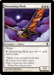 Moonwing Moth Moonwing Moth