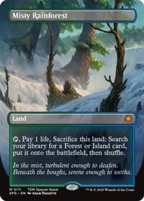 Misty Rainforest (Borderless)