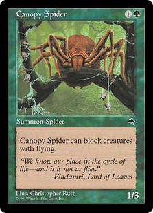 Canopy Spider