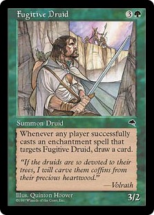 Fugitive Druid