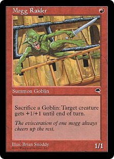 Mogg Raider