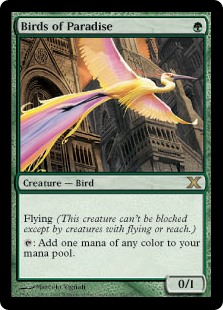 Birds of Paradise (Foil)