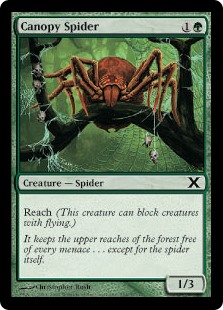 Canopy Spider (Foil)