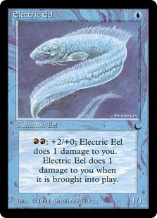 Electric Eel Electric Eel