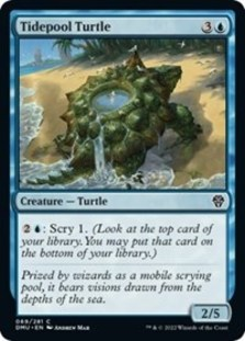 Tidepool Turtle (Foil)