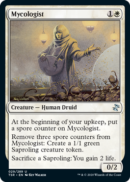 Mycologist Mycologist
